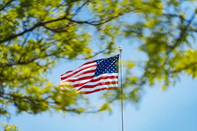 The American flag waves prominently in the center against a clear blue sky. Green leaves from nearby trees partly frame the view, adding a natural, vibrant foreground to the scene.